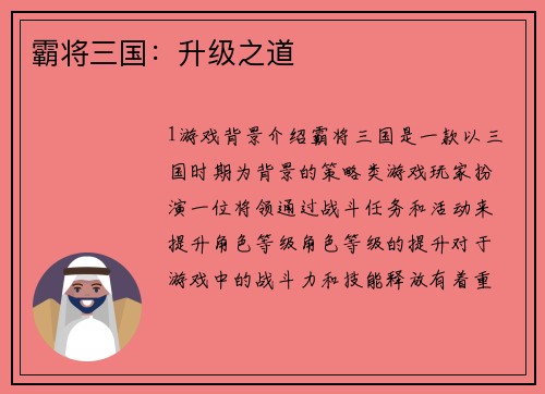 霸将三国：升级之道
